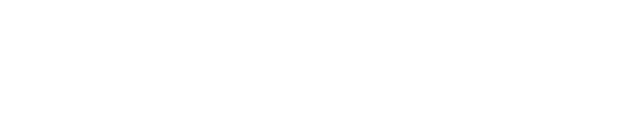 chc-special-needs-logo